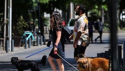 ¿Va a continuar el calor intenso en Santiago?: El pronóstico del tiempo para este viernes 23, sábado 24 y domingo 25 de enero