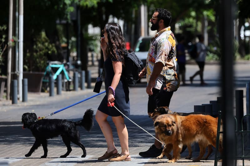 Las mínimas van a bordear los 14° C, de acuerdo al pronóstico que entregó la entidad.
Créditos: Aton.