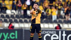 El renacer de Cristián Zavala: los números que explican su abismal diferencia entre Coquimbo y Colo Colo