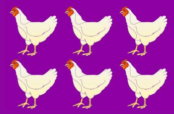 Test Visual: ¿Puedes encontrar la gallina diferente a las demás en menos de 10 segundos?