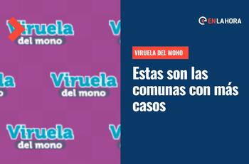 Viruela del Mono: ¿Qué comunas de la Región Metropolitana tienen más casos de esta enfermedad?