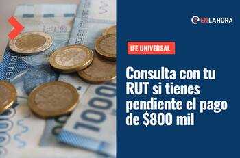 IFE Universal: Consulta con tu RUT si tienes pendiente el pago de más de $800 mil