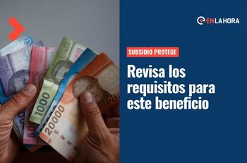 Subsidio Protege: ¿Cuáles son los requisitos para postular a este bono que entrega $200.000 al mes?