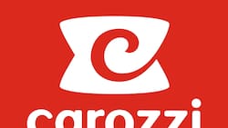 Carozzi busca trabajadores en varias regiones de Chile: Revisa sus últimas ofertas laborales