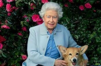 Con fotos antiguas de la reina Isabel: El Palacio de Buckingham celebró el "Día Internacional del Perro"
