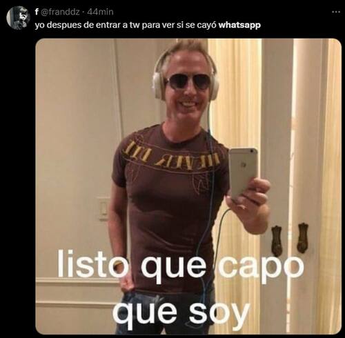 Estos son los memes virales.