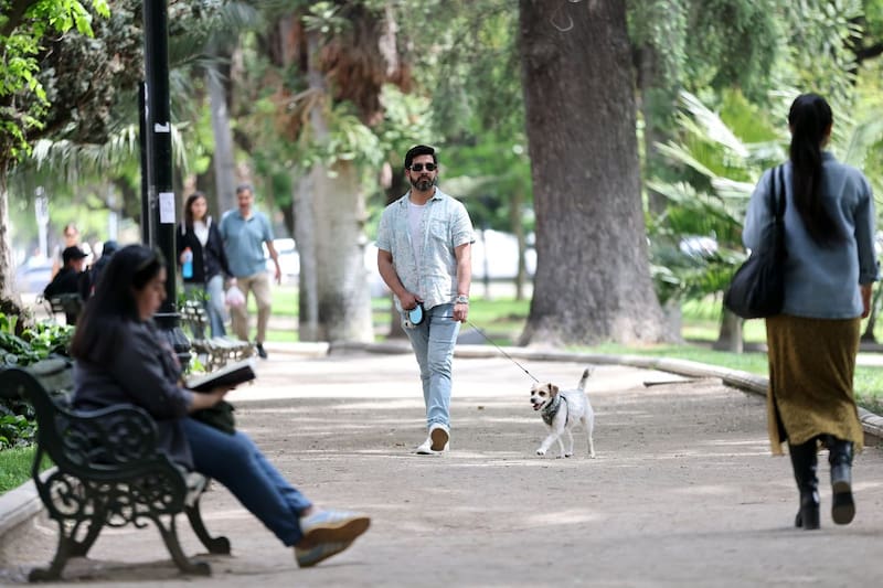 La información fue entregada por la DMC.
Créditos: Aton.