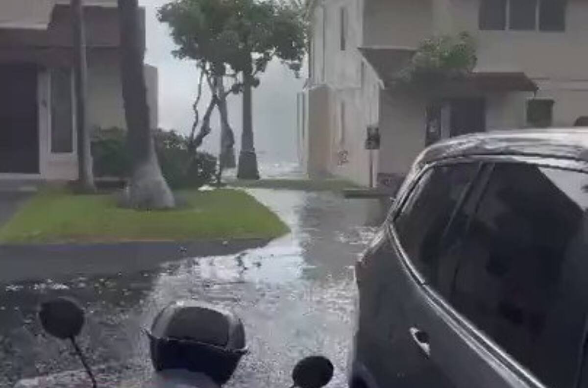 VIDEO | Increíble: Enormes olas en Hawaii superaron casas de dos pisos