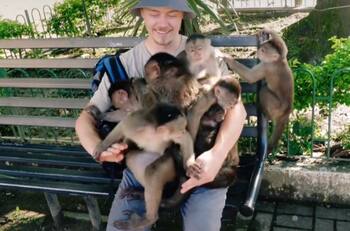 VIDEO | "Como una princesa de Disney": Turista se ve rodeado de monos luego que uno se sentara sobre sus piernas