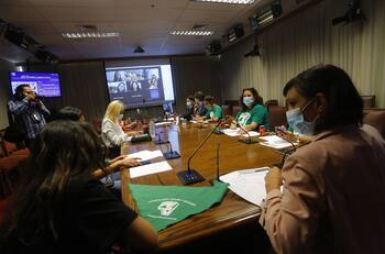 Despenalización del aborto: hasta el 21 de abril será analizado previo a su primera votación en la Cámara