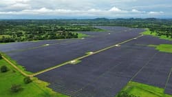 La española Zelestra confirma potente apuesta por Chile: invertirá US$1.500 millones en nueve proyectos