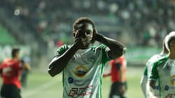 Deportes Puerto Montt vence a Santa Cruz y alcanza nuevamente el liderato en Primera B