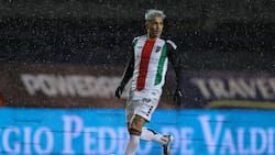 Figura del fútbol chileno seduce a la U: millonaria cláusula frena su llegada