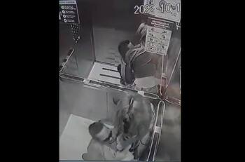 VIDEO | Brutal pelea entre dos perros fue captada por la cámara de un ascensor en Iquique