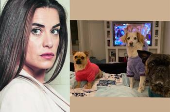 “Mi familia perruna”: Íngrid Cruz celebró el Día del Mundial del perro con dedicatoria a sus tres mascotas