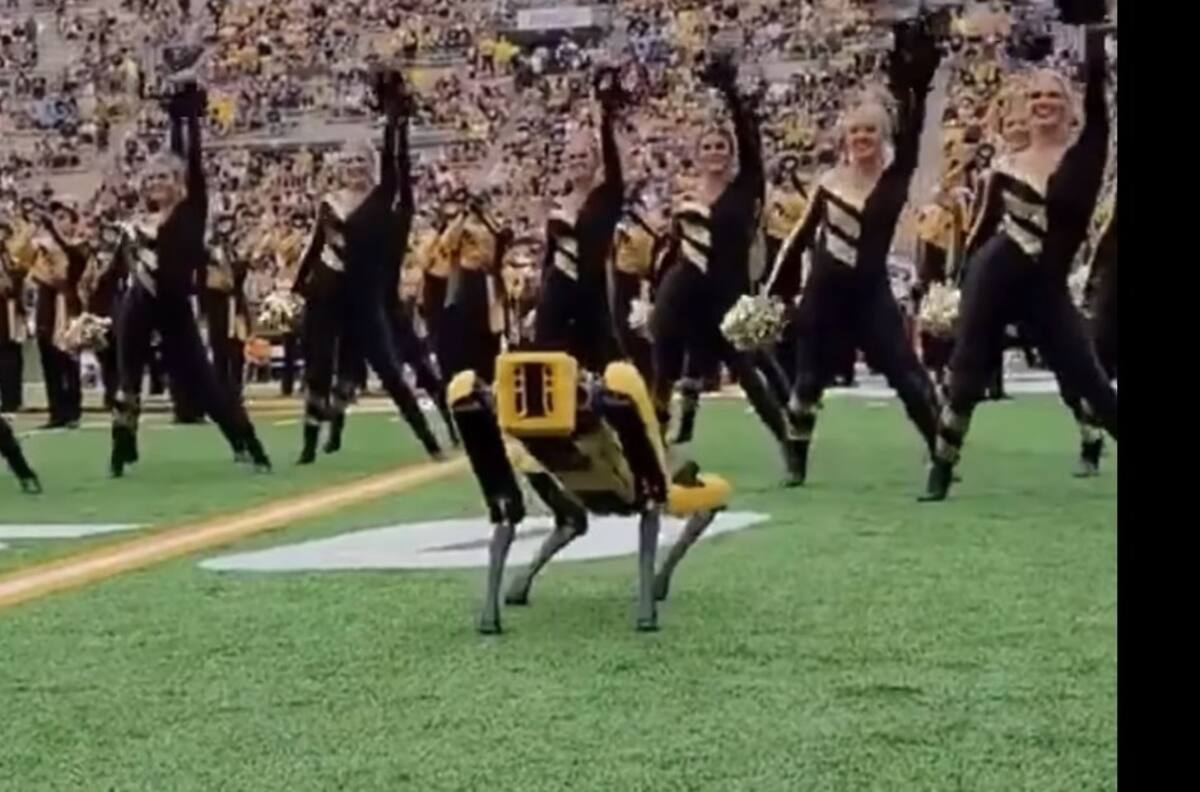 VIDEO I Perro robot "se luce" bailando con porristas en la NFL