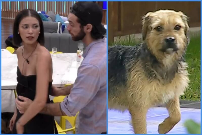 Joven argentina le grita a Coni y Lucas desde fuera de "GH"