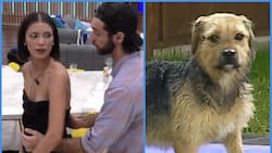 “Lucas le pegó a bigote”: Seguidores de “Gran Hermano” Chile le pagan a joven argentina para que grite desde fuera de la casa-estudio