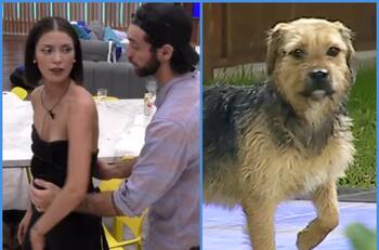 “Lucas le pegó a bigote”: Seguidores de “Gran Hermano” Chile le pagan a joven argentina para que grite desde fuera de la casa-estudio