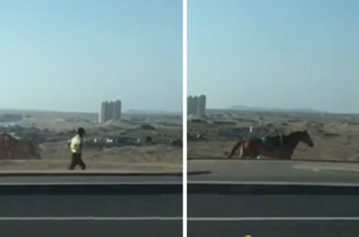 VIDEO | Como "el indomable Spirit": Carabinero fue grabado corriendo tras su caballo en Antofagasta