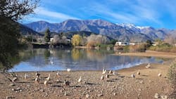 Imperdible en Santiago: Esta es la asombrosa laguna que puedes visitar de manera gratuita en primavera