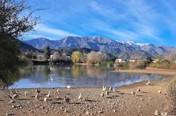 Imperdible en Santiago: Esta es la asombrosa laguna que puedes visitar de manera gratuita en primavera