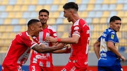 Lentos, pavos e ingenuos