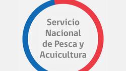 Ofrecen sueldos desde $1.620.000: Sernapesca busca trabajadores