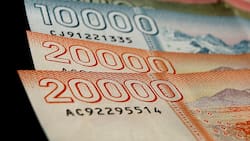 Devolución de impuestos: SII dio a conocer nueva fecha de pago