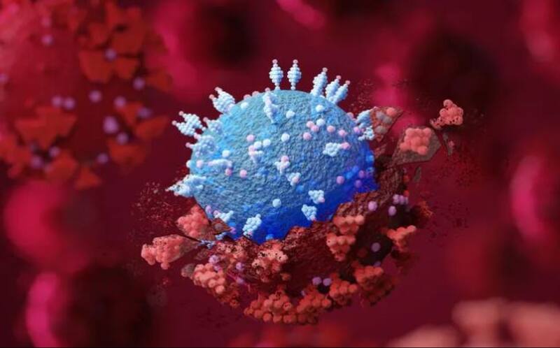 El virus Nipah es sumamente letal.