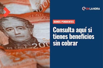 Bonos Pendientes: Consulta aquí sólo con tu RUT si tienes aportes del Estado sin cobrar