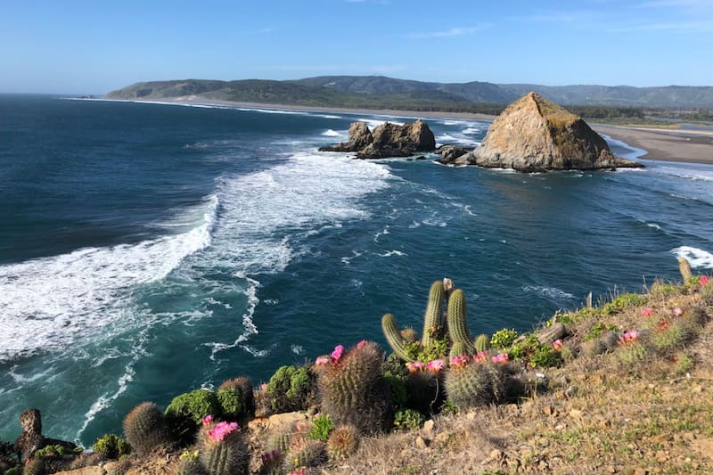 Esta escapada secreta deslumbra con sus hermosos paisajes de aguas azules en medio de la naturaleza. Créditos: Surfbeats Radio.