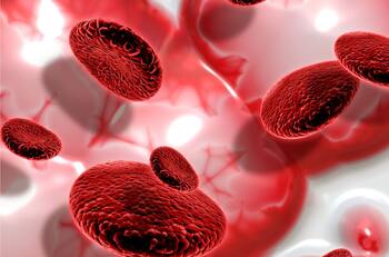 Conoce cómo disminuir el nivel de azúcar en tu sangre de una forma fácil y rápida