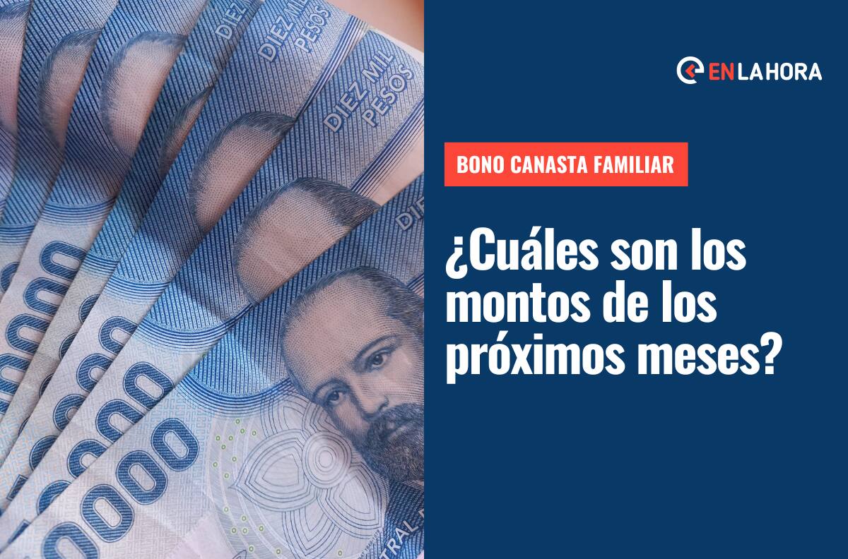 Bono Canasta Familiar 2022: Consulta con tu RUT si recibes este aporte y el monto de los próximos meses