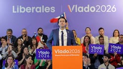¿Quién es Vlado Mirosevic, candidato a la presidencia del Partido Liberal?