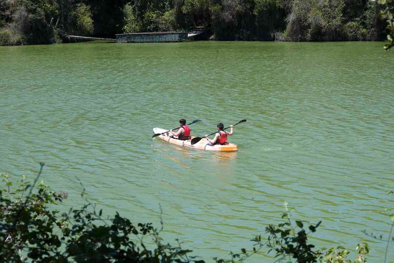 Ve las especies que están en las profundidades de estas aguas. Créditos: Parque Tricao.