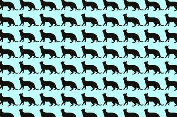 Test Visual: ¿Puedes encontrar el gato diferente en la imagen en solo 8 segundos?