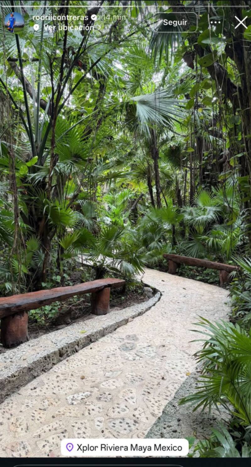 Jugadores de la U en México.