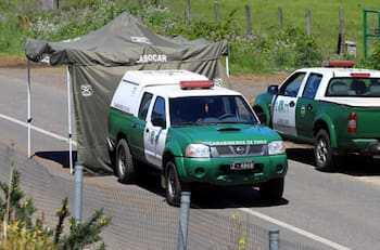 Comunero mapuche muere tras ser baleado en un predio en la ruta que une Villarica con Licanray