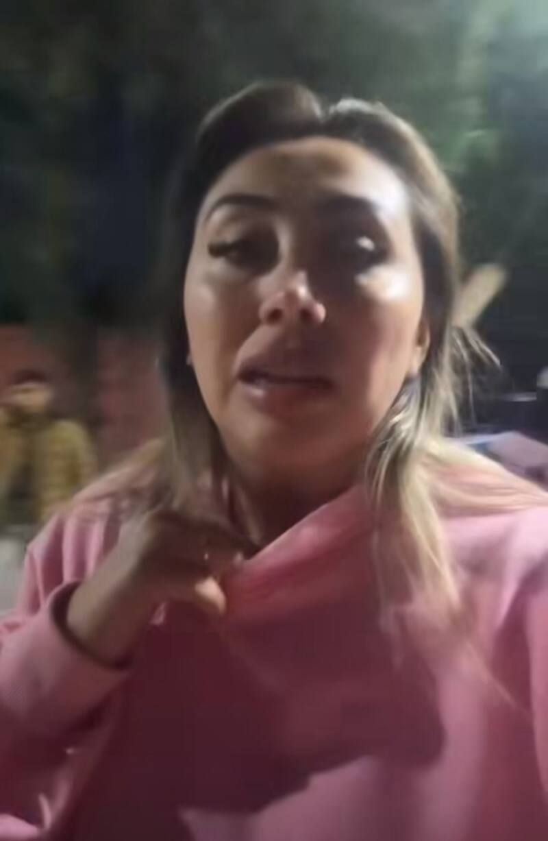 Naya Fácil chocó su auto contra la reja de una casa. Créditos: Instagram