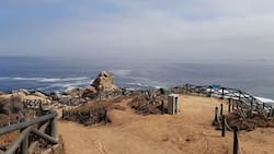 Los 7 destinos más elegidos para recorrer Chile en el verano 2026