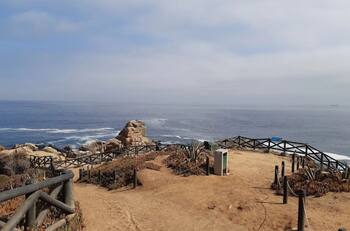 Los 7 destinos más elegidos para recorrer Chile en el verano 2026