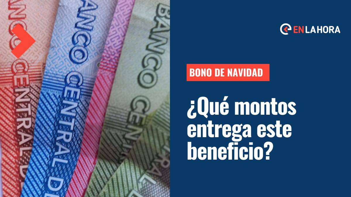 Bono Navidad: ¿Qué montos le entrega el último beneficio del año al sector público?