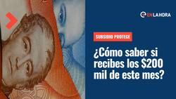 Subsidio Protege: Revisa si vas a recibir los $200 mil que se pagan este 12 de septiembre