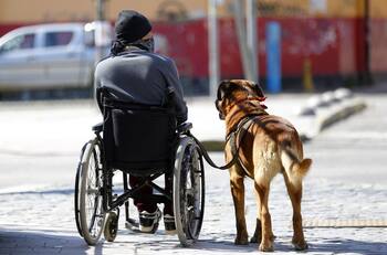 Nuevo monto Subsidio de Discapacidad: ¿Cuánto dinero recibirás desde febrero?