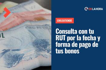 ChileAtiende: Consulta con tu RUT la fecha y forma de pago de cada uno de tus beneficios