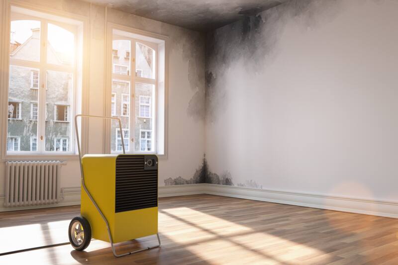 Descubre cuáles son las primeras señales y cómo afecta a la salud de las personas que están expuestas.