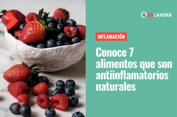 Desinflama tu organismo: Conoce 7 alimentos antiinflamatorios que no pueden faltar en tu dieta