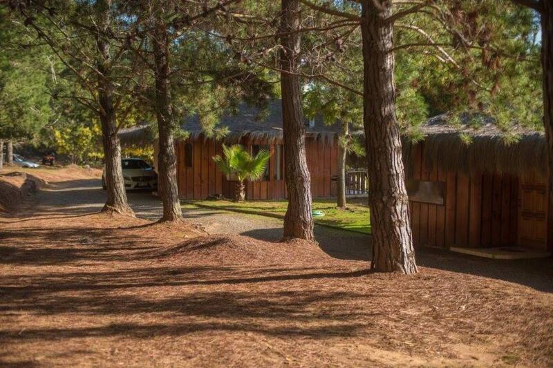 Los precios de los alojamientos fluctúan entre los $89.000 y $119.000.
Créditos: Pao Pao Lodge.