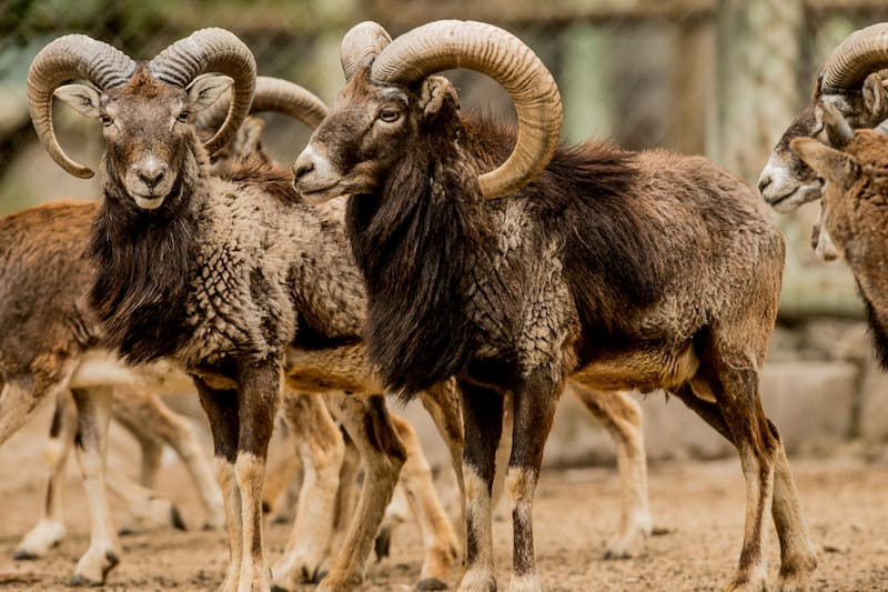 El recinto cuenta con recorridos diseñados para que personas de todas las edades puedan disfrutarlo. Foto: Lampazoo.cl